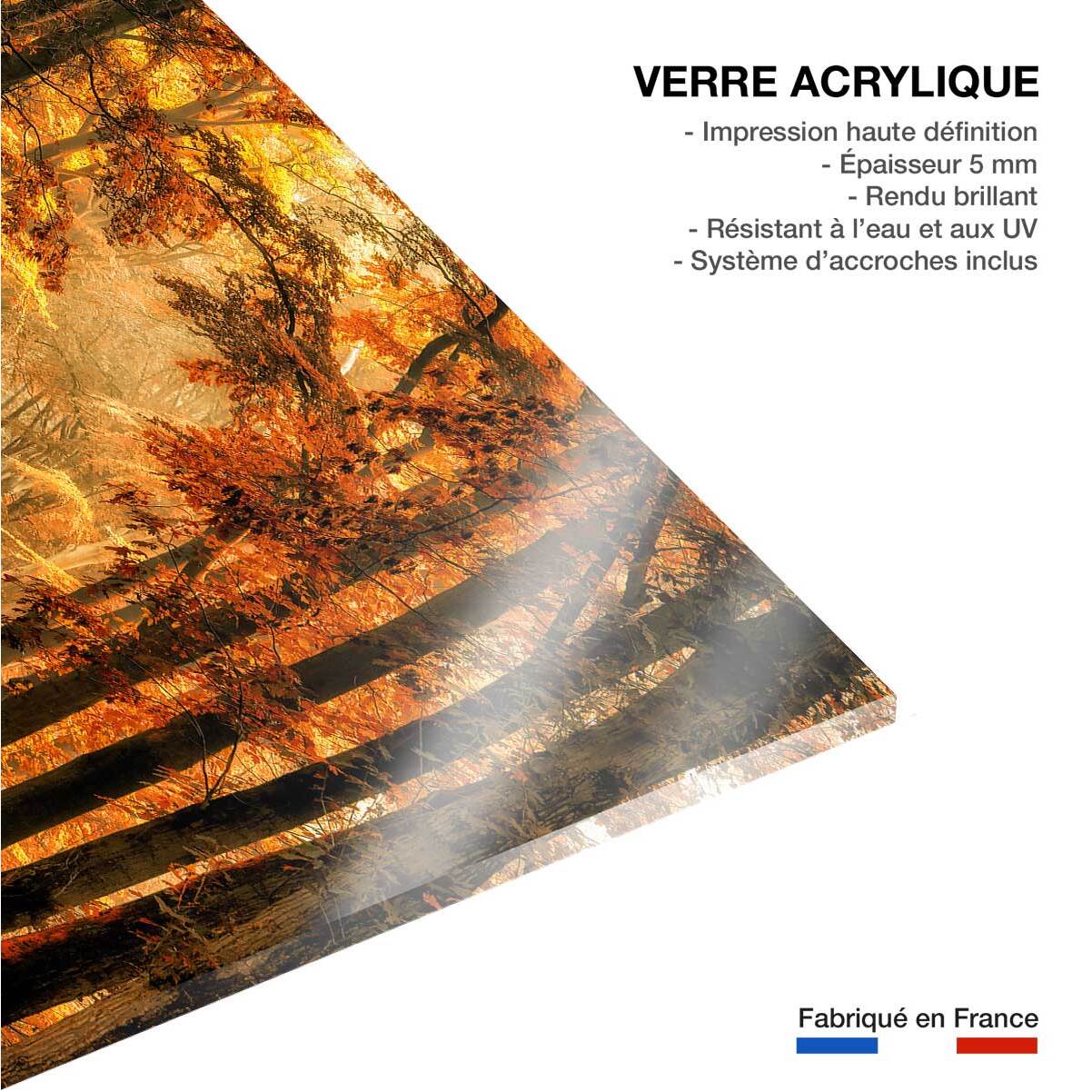 Tableau magie de l' automne Tableau plexiglas