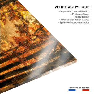 Tableau magie de l' automne Tableau plexiglas