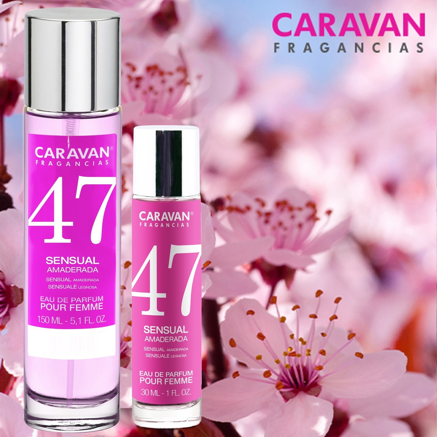 Caravan set de 2 fragancias de mujer nº47+ caja regalo caravan + selección especial de té con 24 bolsitas