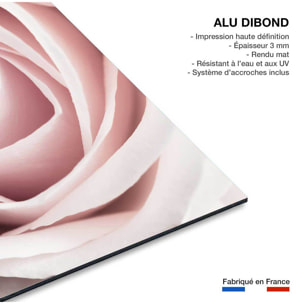 Tableau coeur de roses Tableau alu Dibond