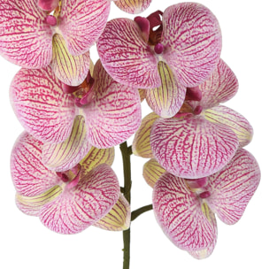 Phalenopsis Con 9 Fiori. Altezza 110 Cm - Pezzi 2 - 15X110X7cm - Colore: Viola - Bianchi Dino - Fiori Artificiali