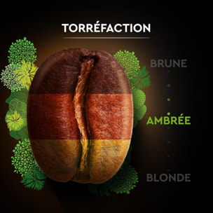 Moulu BIO 2x250g - certifié Rainforest Alliance