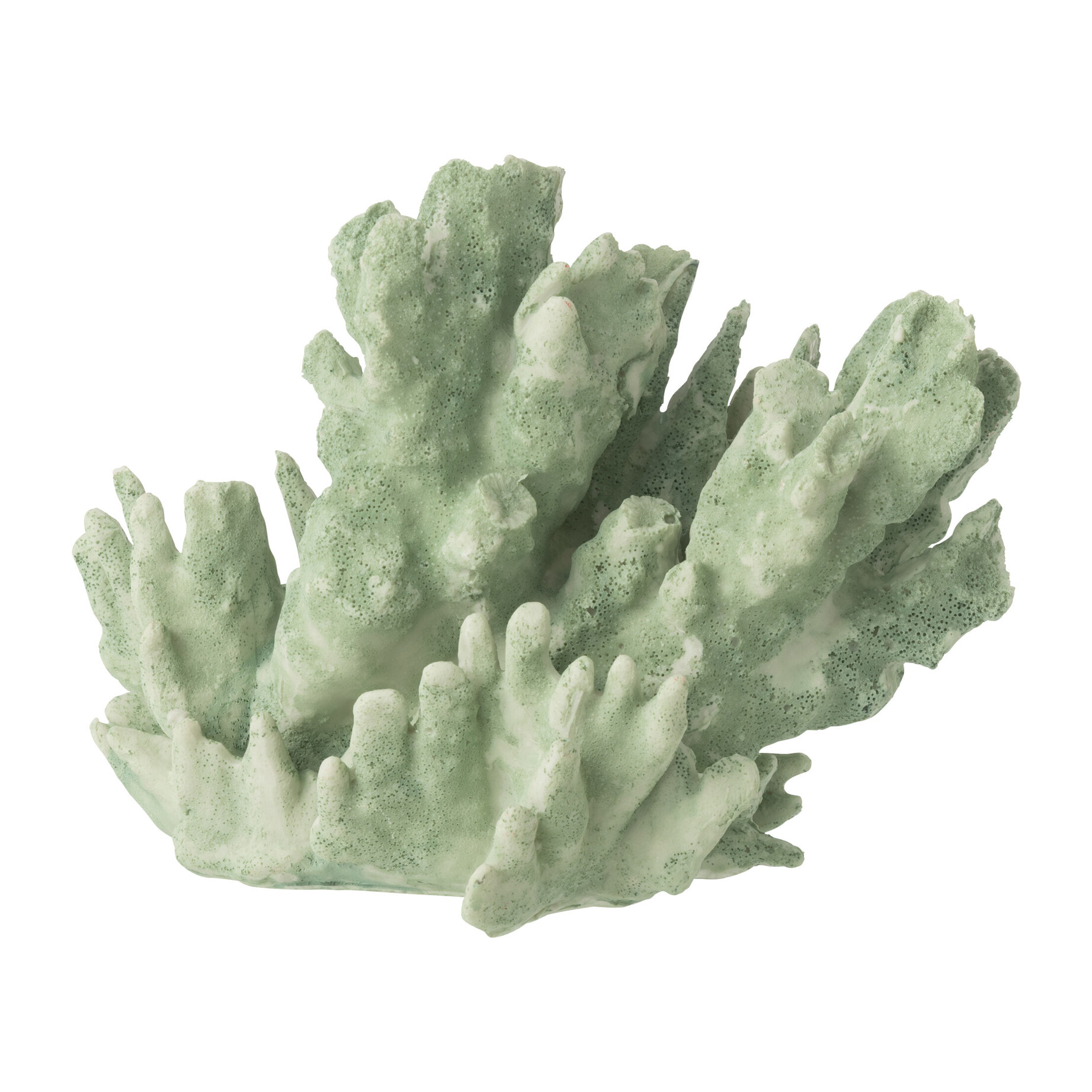 J-Line Corail décoratif - polyrésine - vert menthe - large
