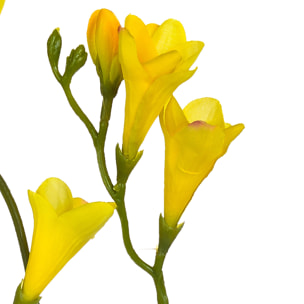 Fresia Composta Da 2 Fiori. Altezza 58 Cm - Pezzi 12 - 10X69X3cm - Colore: Giallo - Bianchi Dino - Fiori Artificiali