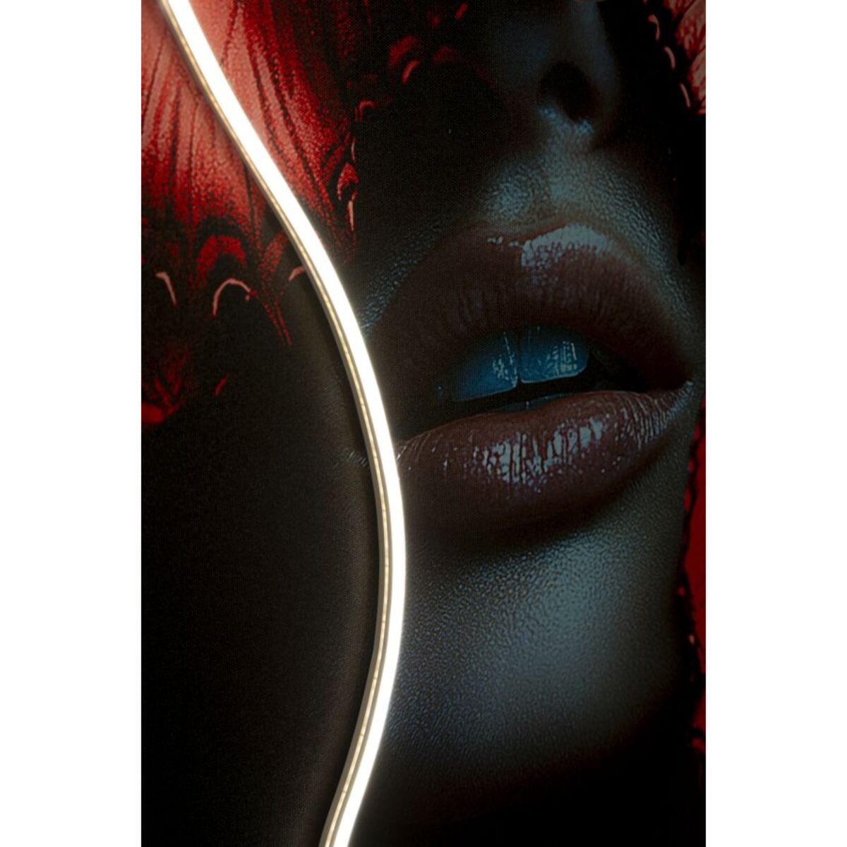 STAMPA C/LED SU TELA BUTTERFLIES CM 60X3,5X90 (APPLICAZIONE 3D ACRILICO)