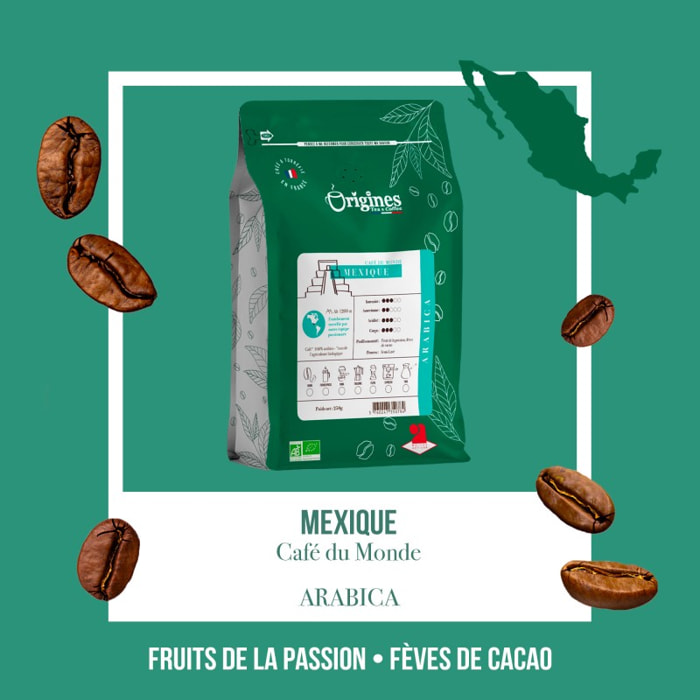 Café Bio Mexique - Pur Arabica - Piston 250g