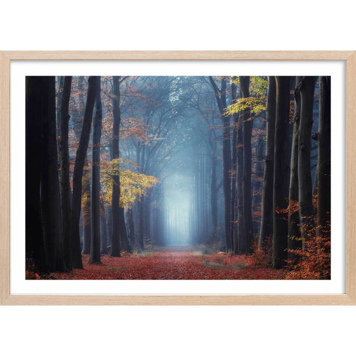 Affiche ""Lumière douce d'automne"" Affiche + cadre en bois - Chêne
