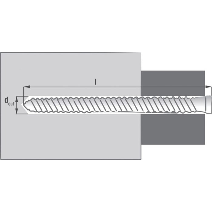 Boîte 50 Vis fixation directe RX 7.5x150 mm SCELL-IT - Tête ronde fine - 6 pans creux - RX150