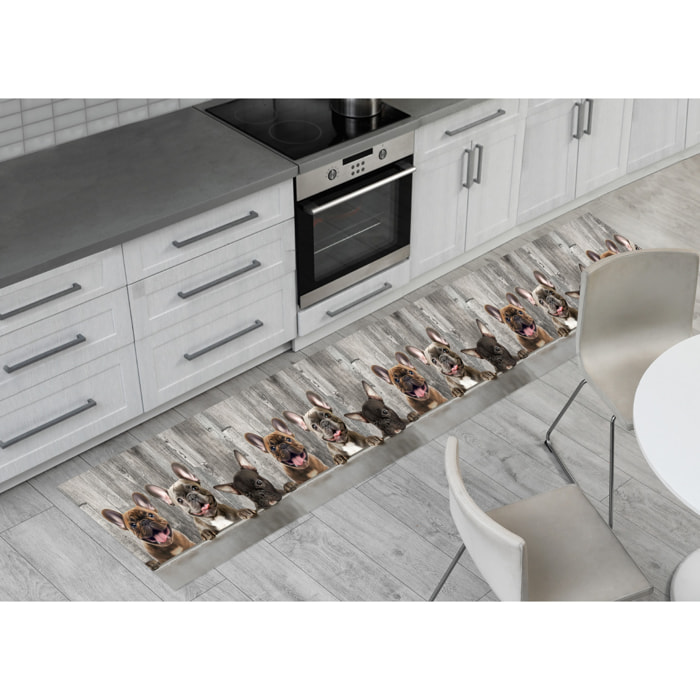 Tappeto Passatoia Corsia Cucina Ingresso Antimacchia Disegno Bulldog 497