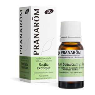Pranarom - Huile Essentielle Basilic exotique - CT linalol - Bio - 10 ml