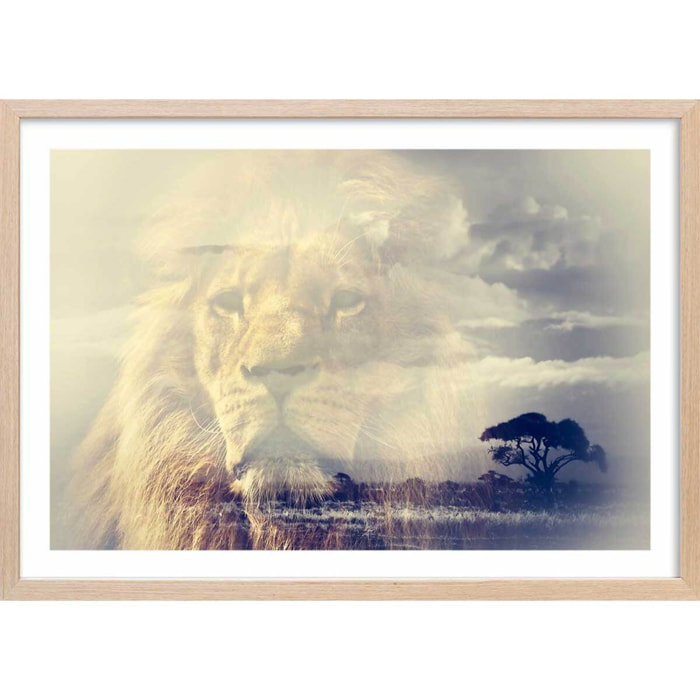 Affiche animaux lion and mount kilimanjaro Affiche + cadre en bois - Chêne