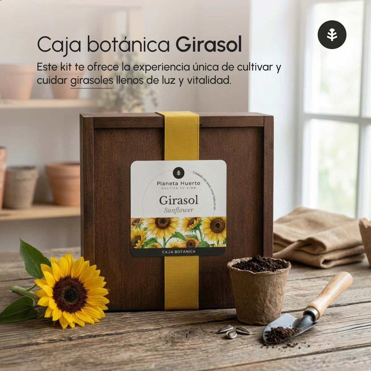 Kit de Cultivo de Girasol en Caja de Madera – Regalo Original Planeta Huerto