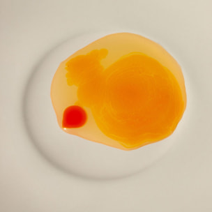 Concentré d'Eglantier - Eglantier et Lupin