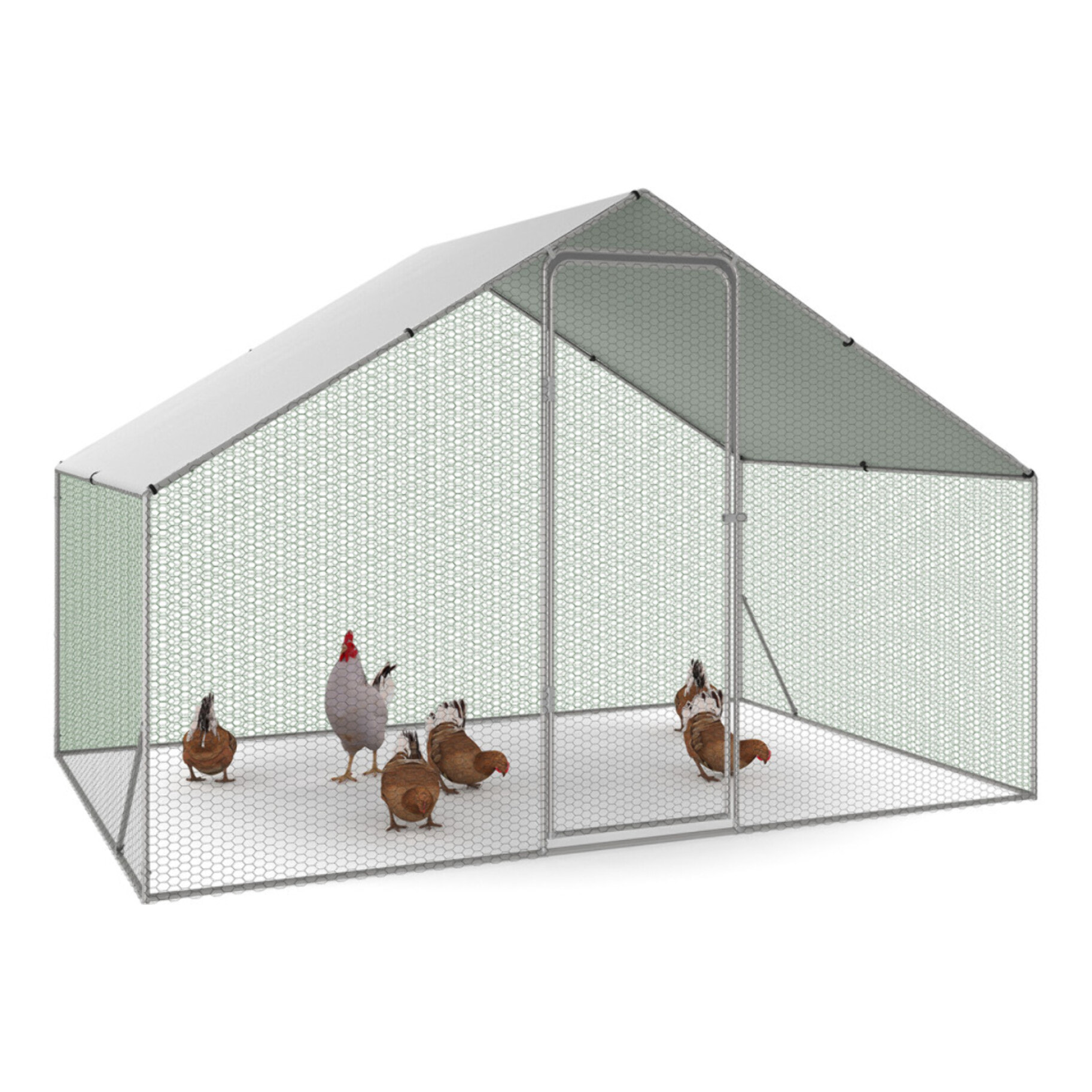 Enclos grillagé pour poules 6m² - 3x2m