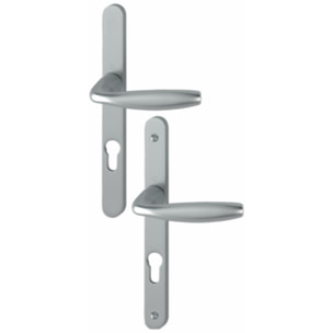 Ensemble de porte plaque étroite New york Clé i aspect inox F9 HOPPE - 1810RH/300LMSGL/1810 - 195mm - entr.7/70 C.7 - 48/57 - 3398093