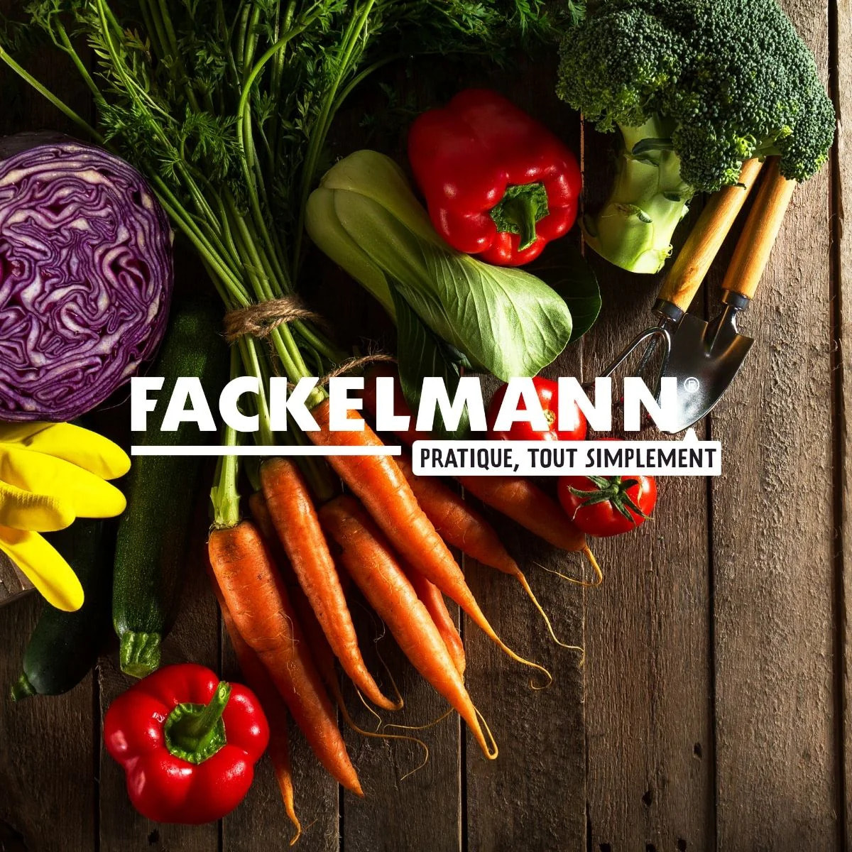 Cuillère à glace avec fonction éjection Fackelmann Summer party