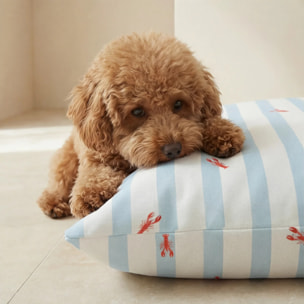 Housse antitaches pour lit pour animal Anvi