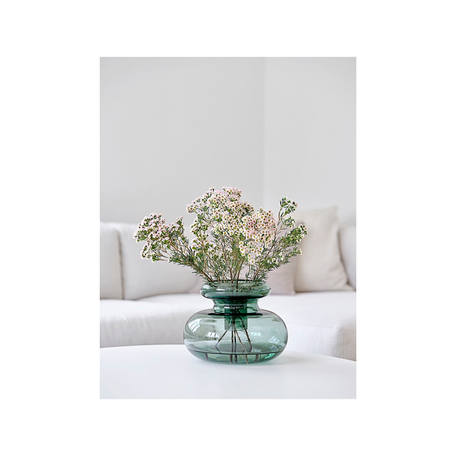 Vase Inu
