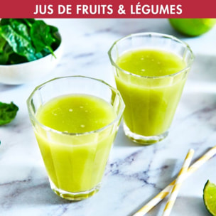 Extracteur de jus MAGIMIX 17555 Extra Press XL