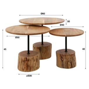 Table d'appoint ronde pied tronc, bois d'acacia (lot de 3) MELBOURNE