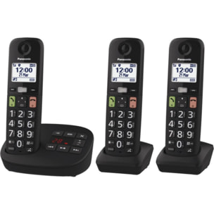 Téléphone sans fil PANASONIC KX-TGU133EXB