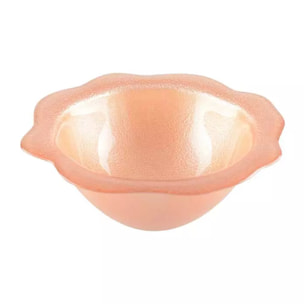 Lot de 6 BOL SAUMON