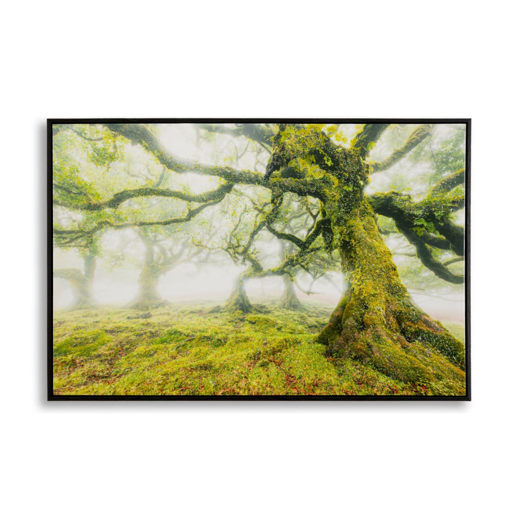 STAMPA SU TELA LACCATA C/CORNICE FORESTA CM 90X4X60