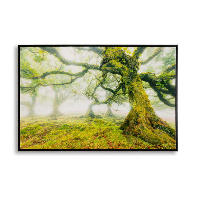 STAMPA SU TELA LACCATA C/CORNICE FORESTA CM 90X4X60