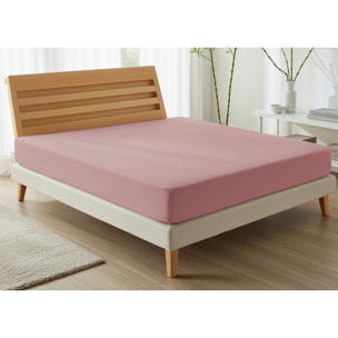 Lenzuolo Sotto Con Angoli No Stiro Tinta Unita Francesca Orchidea