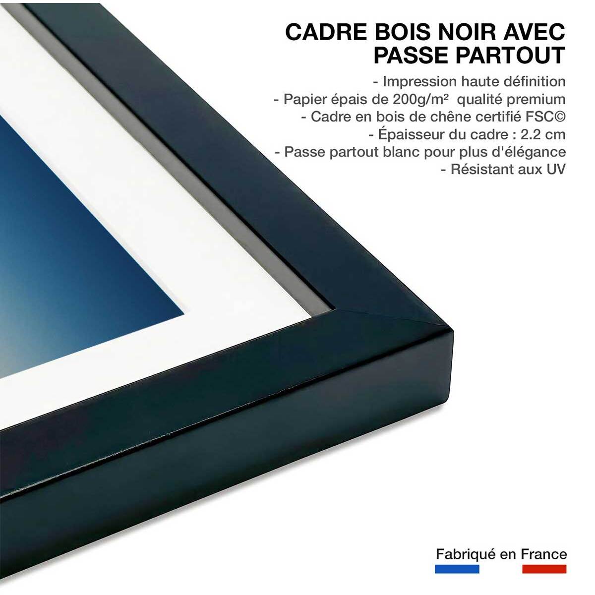 Affiche Vol au dessus du desert Affiche + cadre en bois - Noir