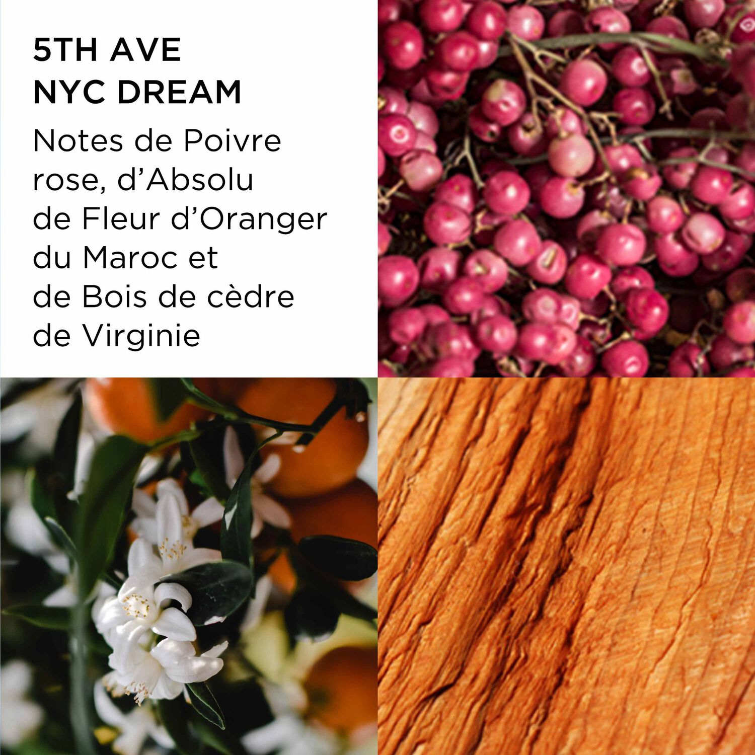 5th avenue NYC Dream - Eau de Parfum 75 ml