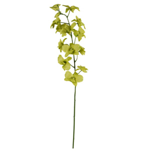 Dendrobium. Altezza 80 Cm - Pezzi 6 - 12X80X7cm - Colore: Verde - Bianchi Dino - Fiori Artificiali