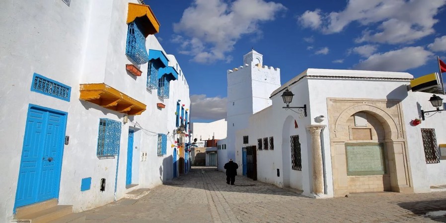 TUNISIE   8j/7n - Circuit "Des rivages aux portes du désert 4*"