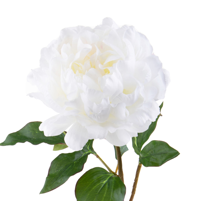 Peonia Gigante. Altezza 57 - Pezzi 6 - 20X57X18cm - Colore: Bianco - Bianchi Dino - Fiori Artificiali