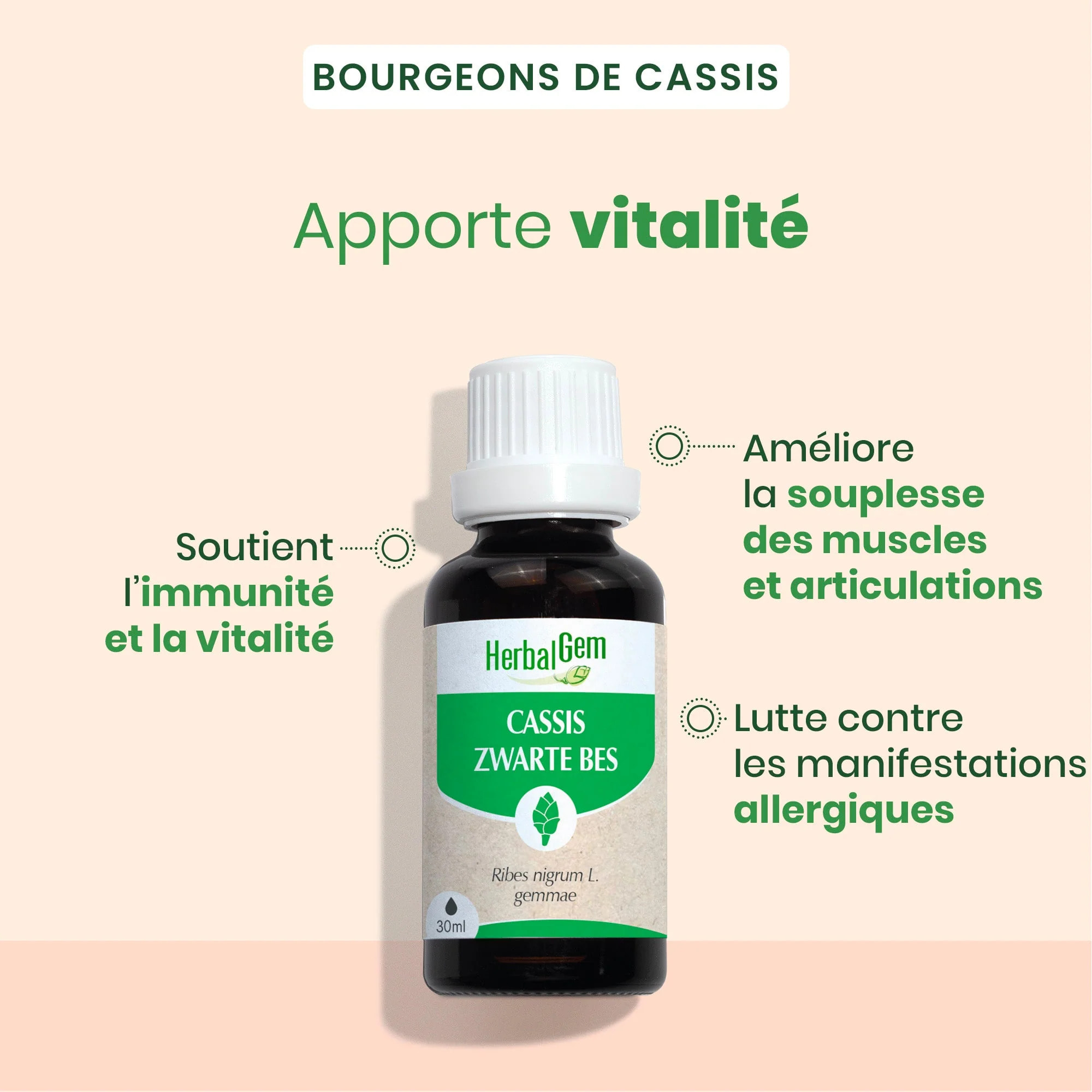 Herbalgem- Bourgeon de cassis - Bio - 30 ml