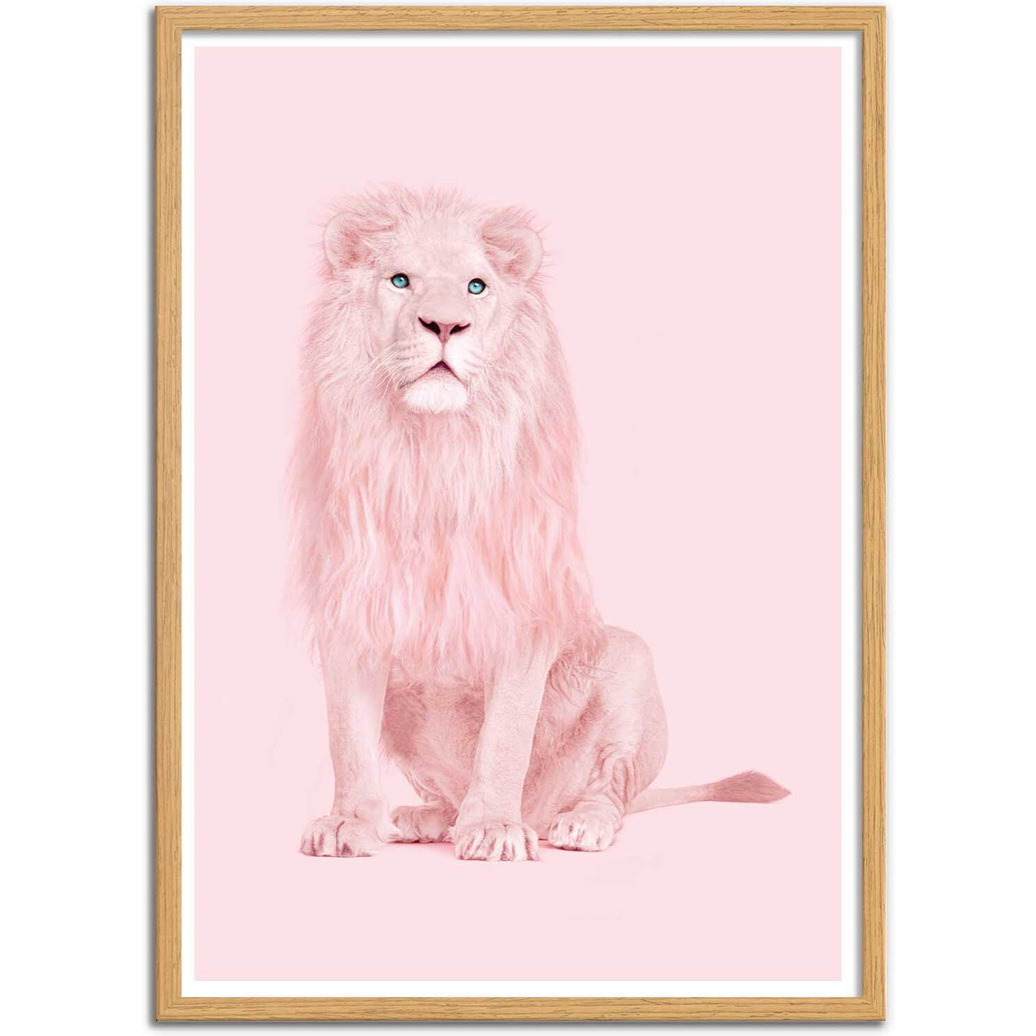 Affiche - Pink Lion - Paul Fuentes