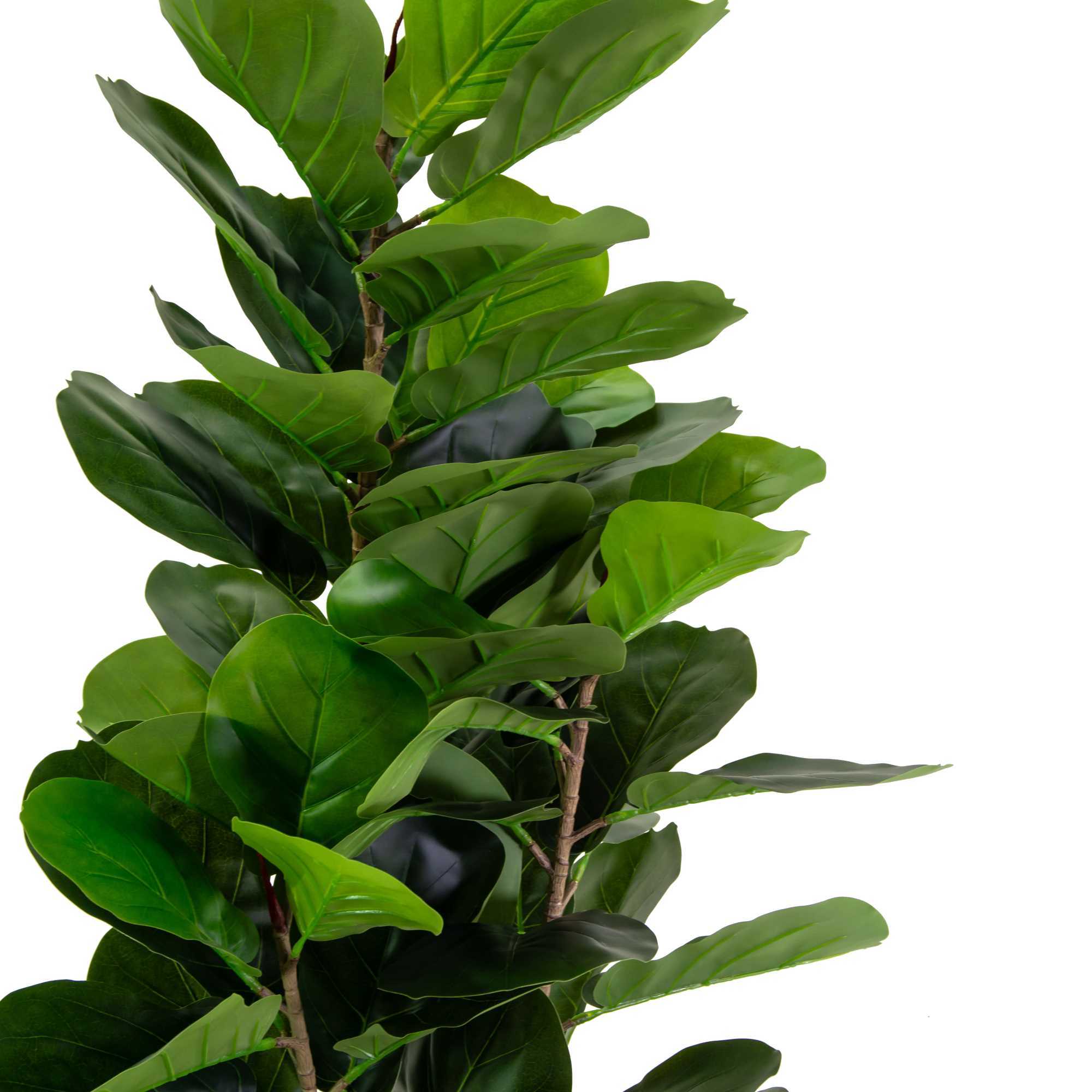 Pianta artificiale Ficus Vacchetti in plastica cmh150
