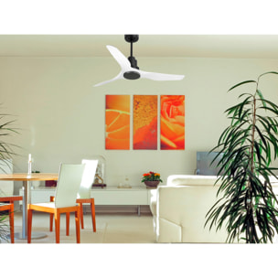 Ventilador de techo Modo Invierno/Verano Termostato Wifi Motor DC Techos Inclinados Mando a Distancia Adaptador 2/3 Aspas Hypersilence Memoria Vendible Shopify (AUTOMATICO) ThassosD127C0464566 PURLINE