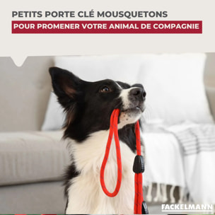 Petit mousqueton porte clé Fackelmann Tecno