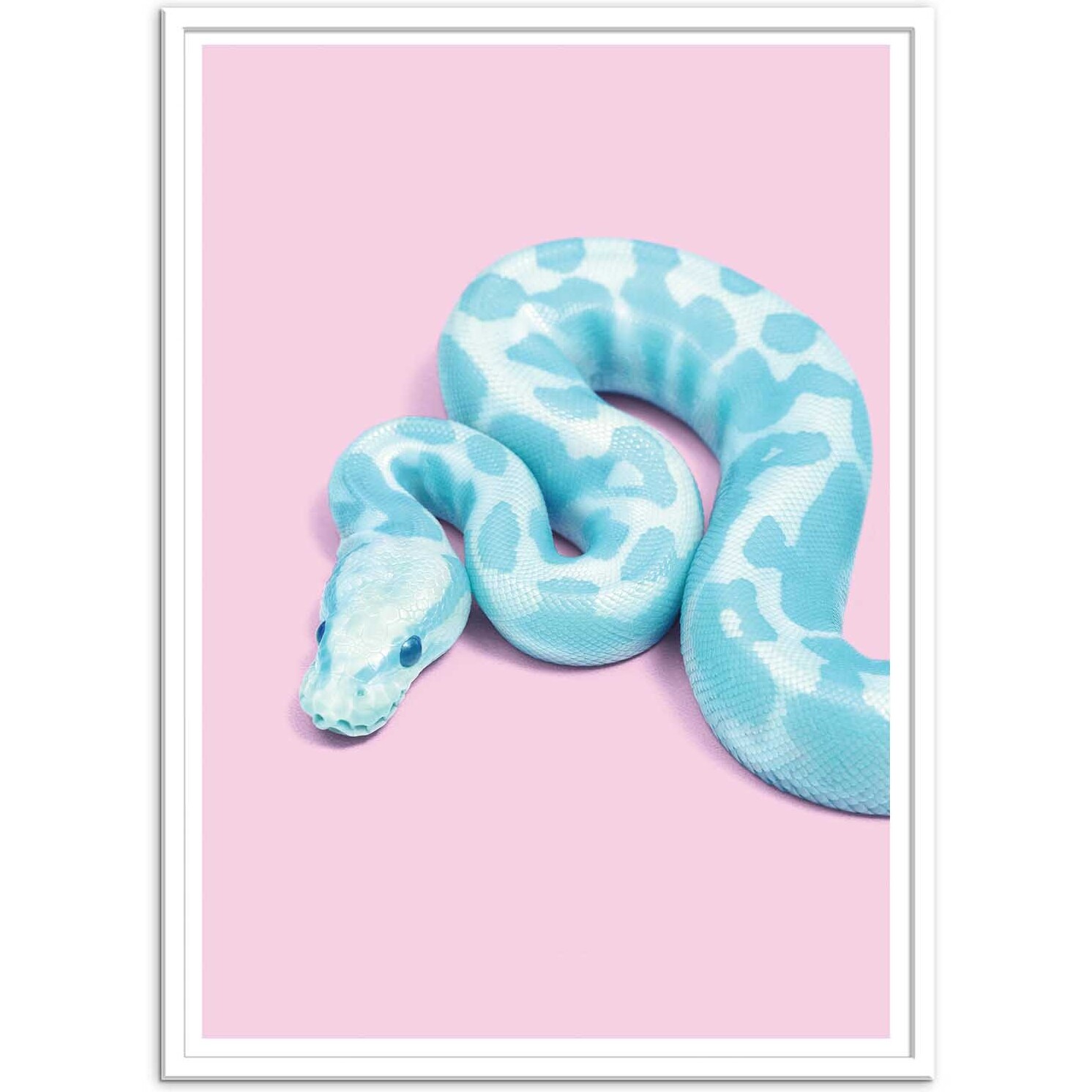 Affiche - Blue Snake - Paul Fuentes