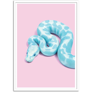 Affiche - Blue Snake - Paul Fuentes