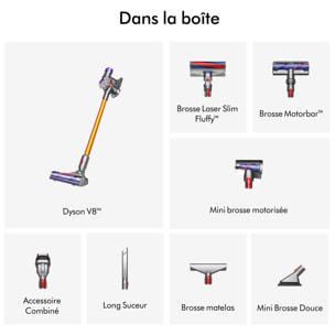 Aspirateur Balai Sans Fil V8™ Absolute - Reconditionné