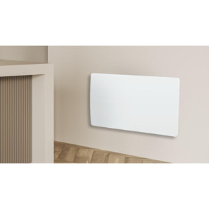 Radiateur à inertie céramique 2000w