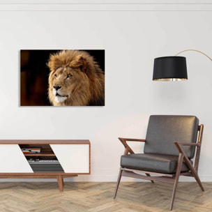 Tableau lion Toile imprimée