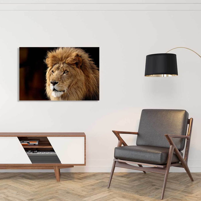 Tableau lion Toile imprimée