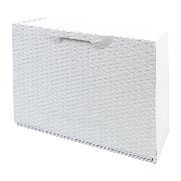 Scarpiera Aseo, Porta scarpe salvaspazio , Scarpiera da ingresso , Armadio scarpiera a 1 anta, 100% Made in Italy, 51x17h40 cm, Bianco