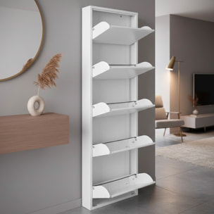 Scarpiera Slim In Metallo 5 Ante A Ribalta Ultra Sottile Salvaspazio Mobile Portascarpe Moderno Ingresso Camera Corridoio 172 x 50 x 15 Cm Bianco