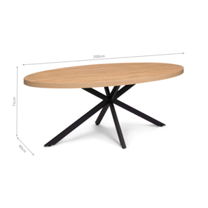 Table repas ovale pieds spider