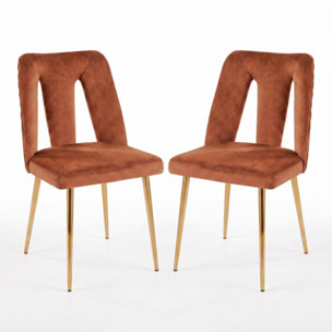 Sedia Imbottita in Effetto Velluto con Schienale Aperto e Gambe Oro, Design Moderno ed Elegante per Sala da Pranzo, Cucina, Soggiorno, Studio e Ufficio