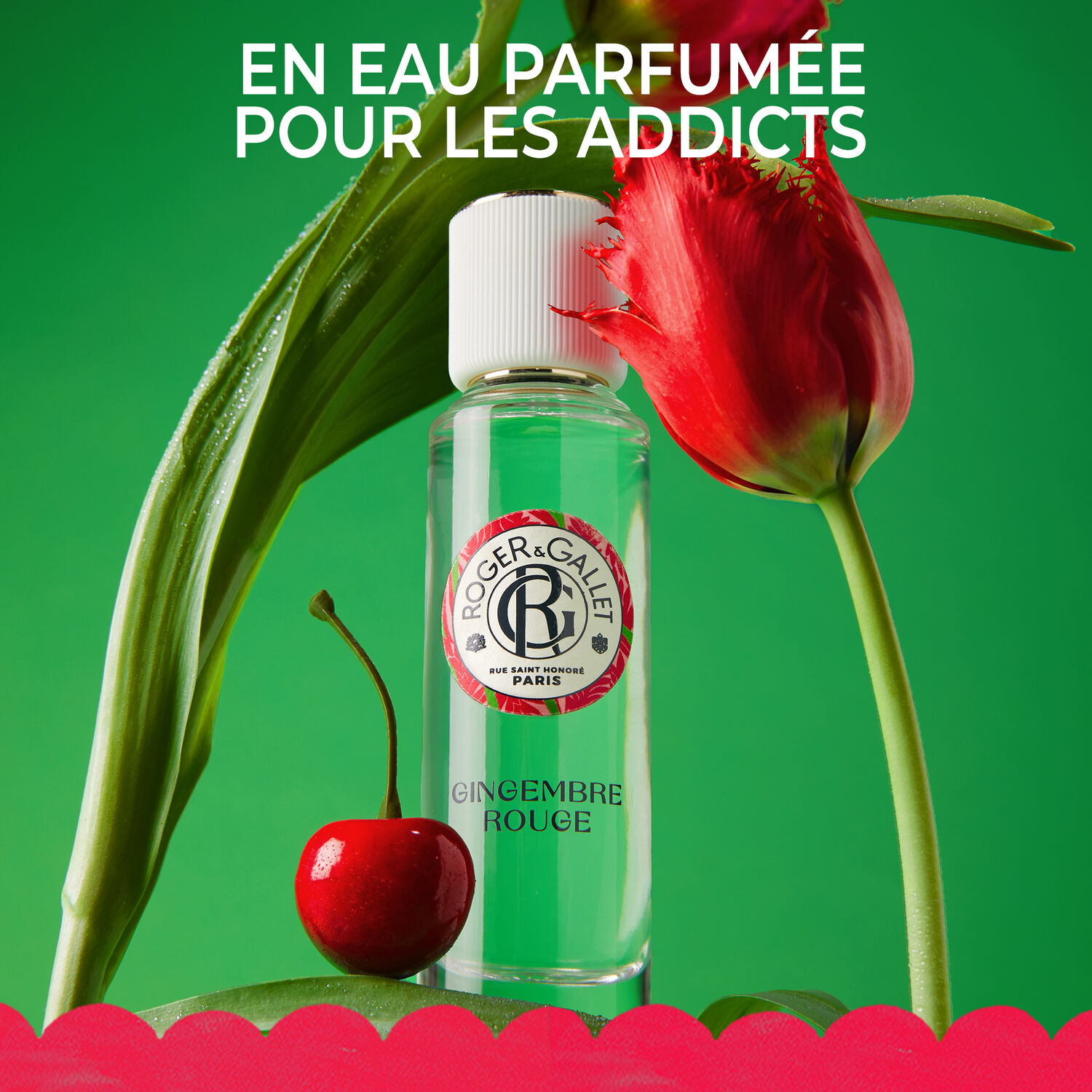 Gingembre Rouge - Crème Mains Bienfaisante 30 ml